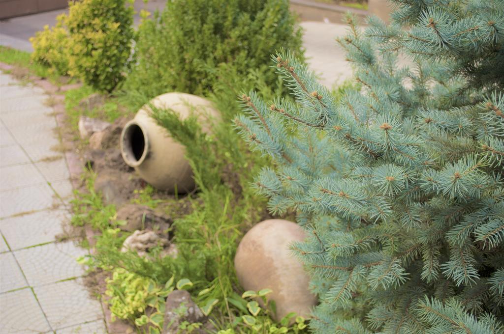 Ivy Boutique Hotel Yerevan Exterior photo